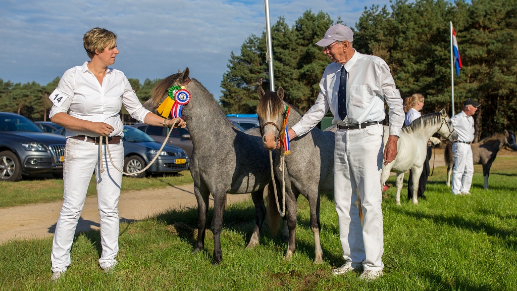 Lierop Fokpaardendag 2016 (2).jpg - Lierop Fokpaardendag 2016